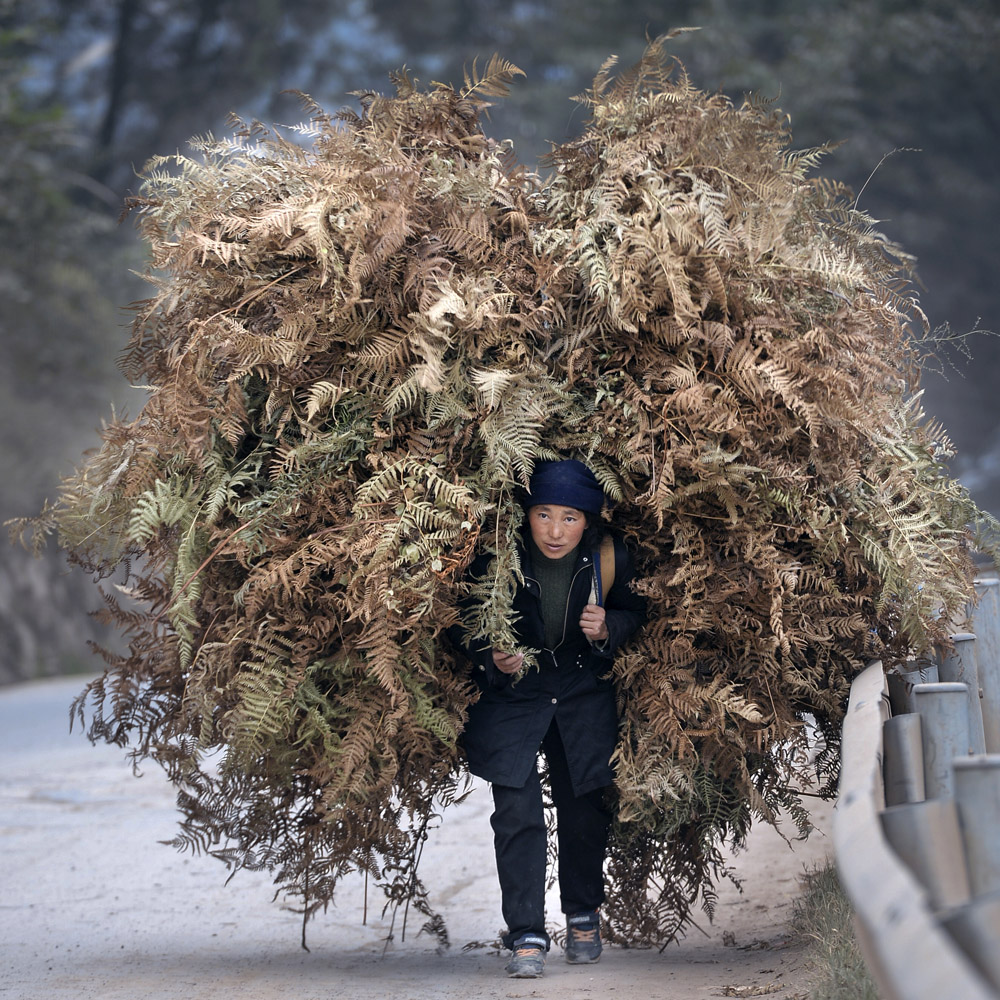 卖柴的女人