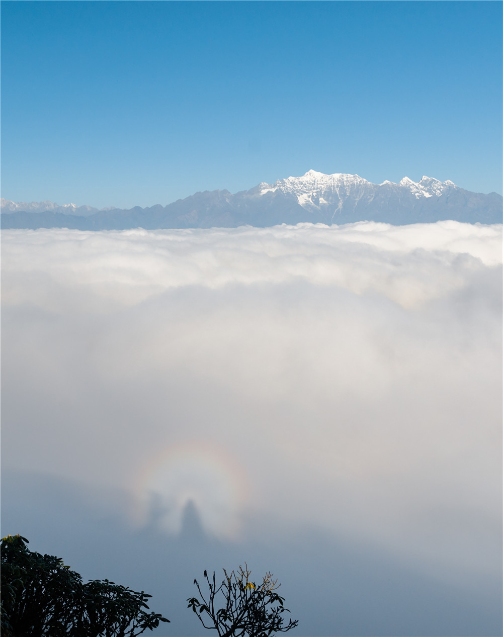 仙山佛光