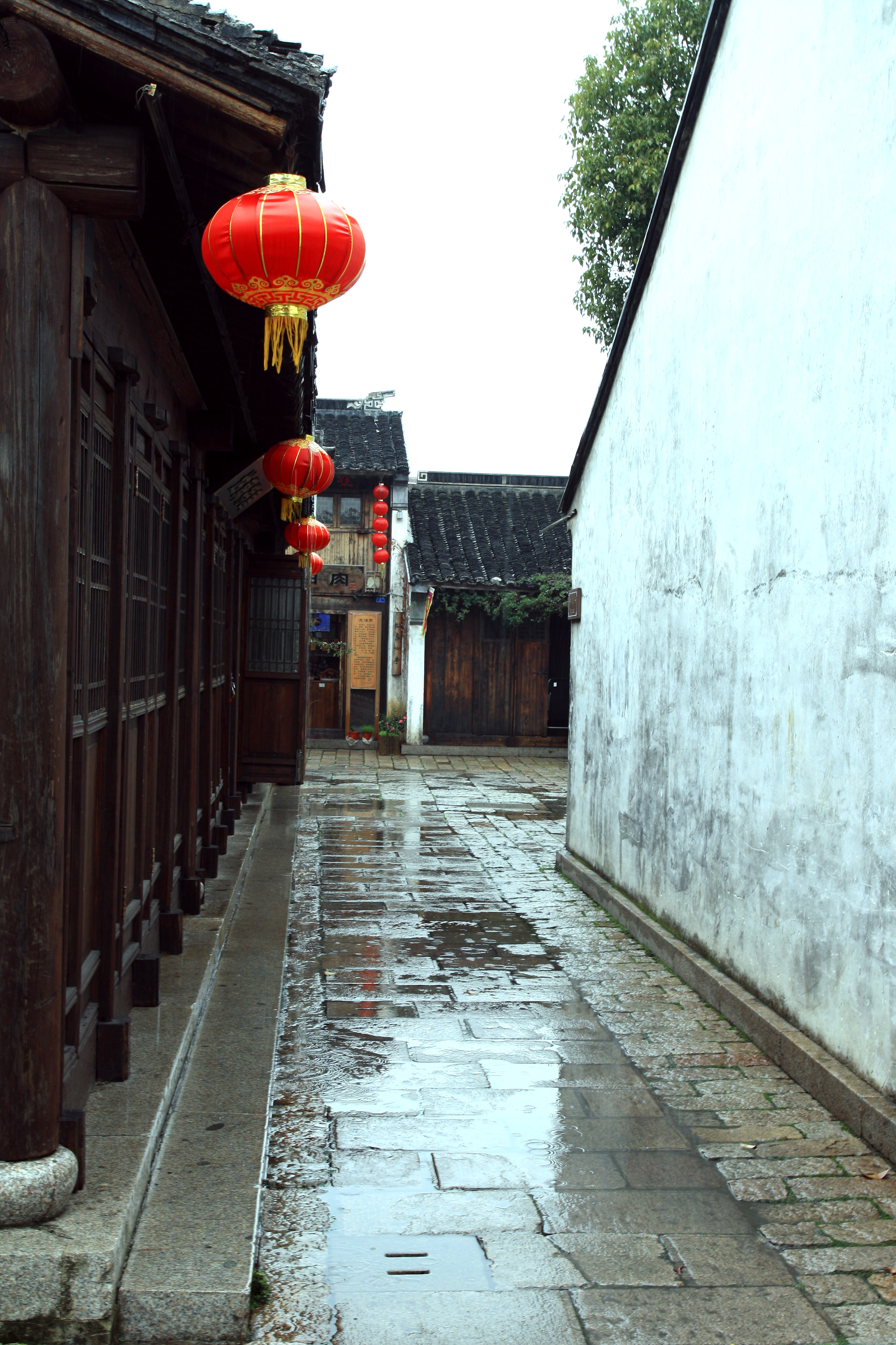 雨中的荡口街道