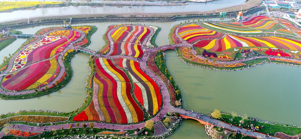 2019年4月6日,摄于江苏大丰荷兰花海,傍晚柔和的光线下,从高空俯瞰