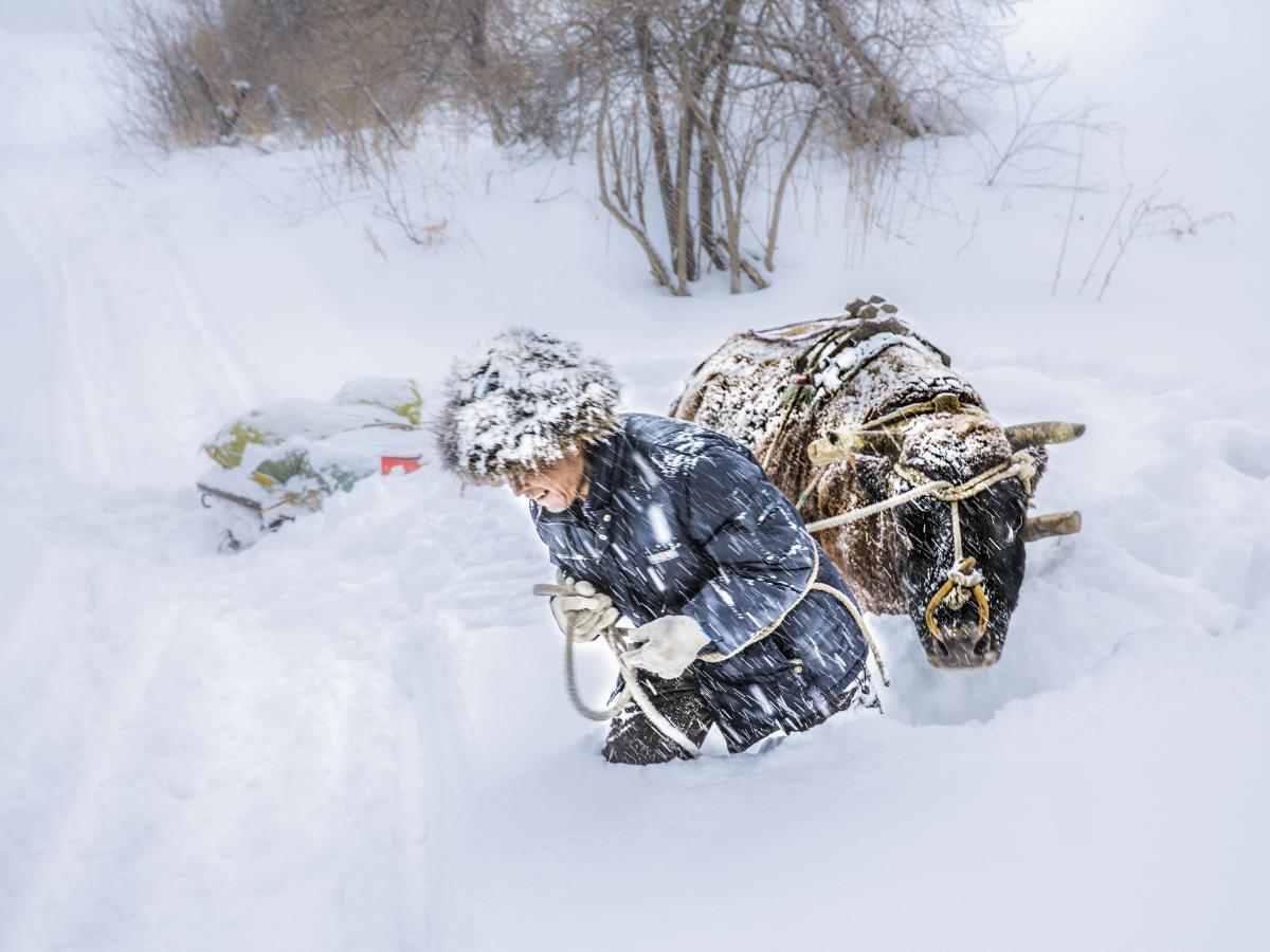 雪中行