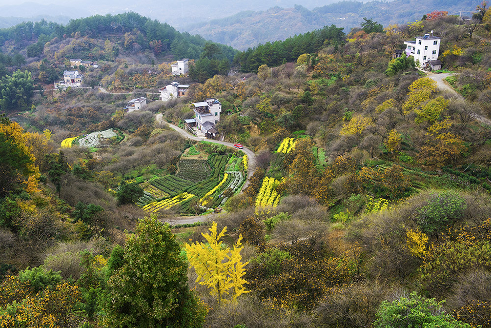 摄于安徽黄山市歙县上丰乡姬川村(鸡公尖)