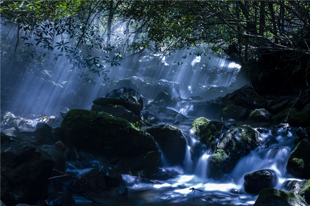 疏影斜照山溪水