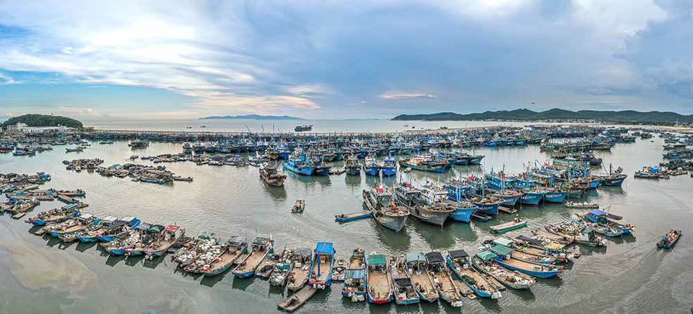 休渔时节-2020年8月16,福建东山岛宫前渔港,出海前的宁静.jpg