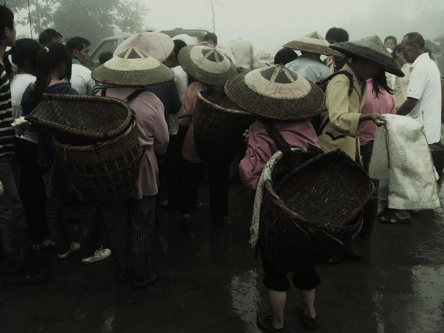 秀山有多少人口_我们都是秀山人